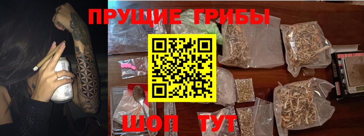 Псилоцибиновые грибы ЛСД Соль-Илецк