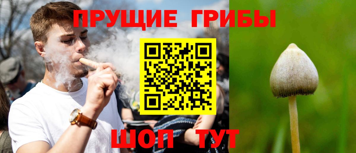 Галлюциногенные грибы Psilocybe  Вход с VPN  Соль-Илецк  купить  сайты  Псилоцибиновые грибы Psilocybine cubensis 